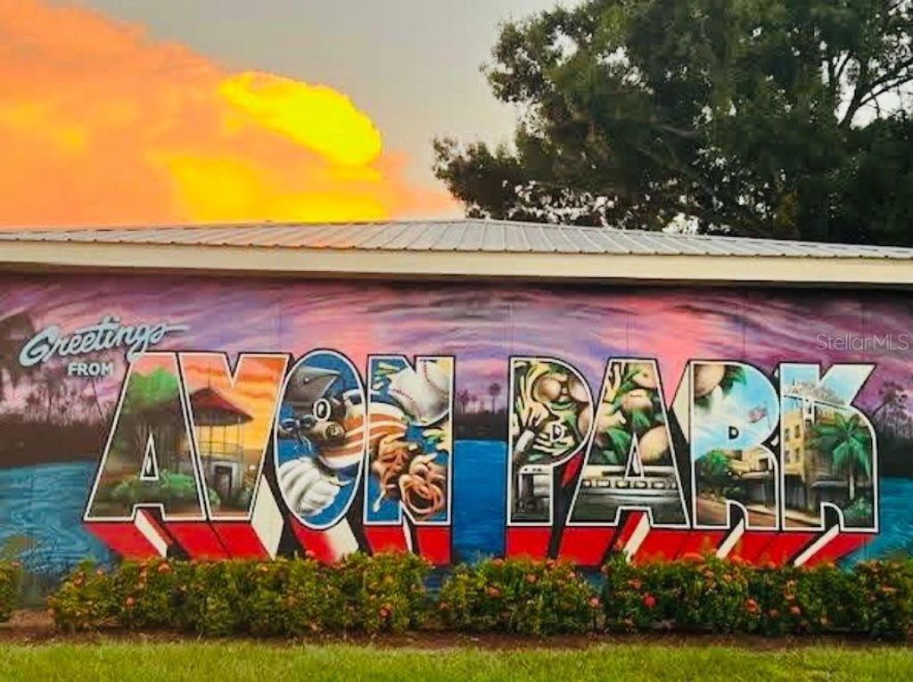 Image 52 of property listing at 613 S WILLOW AVENUE, Avon Park, FL 33825