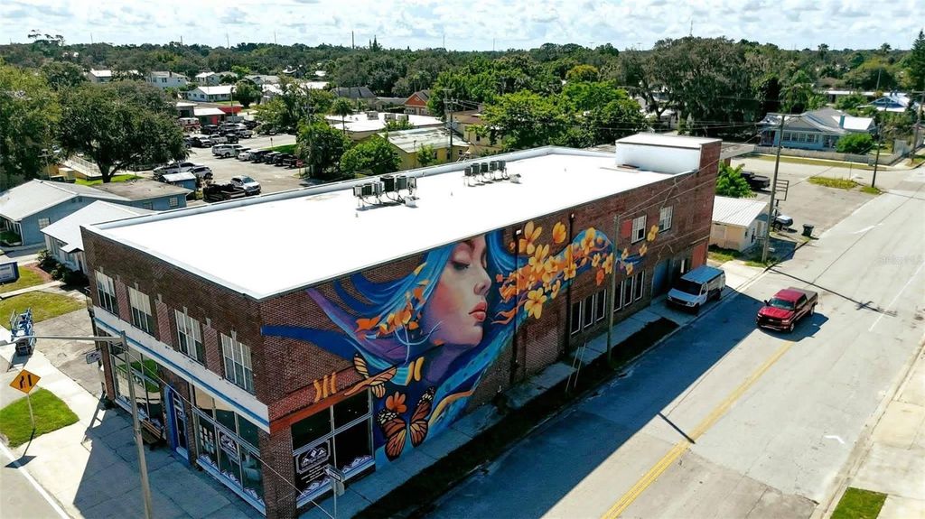 Image 60 of property listing at 613 S WILLOW AVENUE, Avon Park, FL 33825