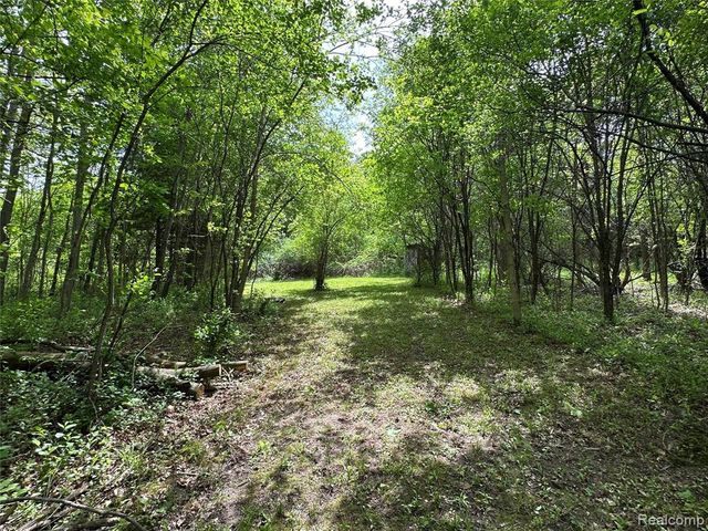 6161 River Road, Flushing, MI 48433