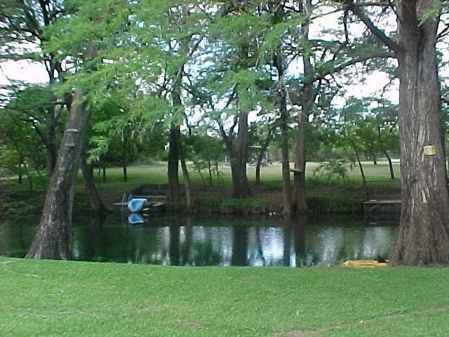 203 Cave Springs Dr, Hunt, TX 78024