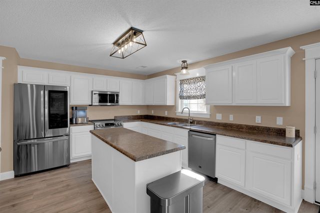 308 Turkey Beard Court, Chapin, SC 29036