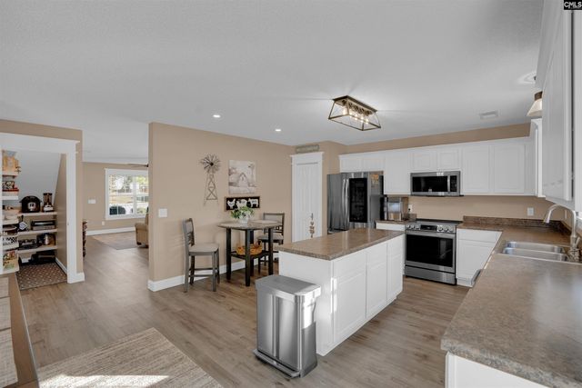 308 Turkey Beard Court, Chapin, SC 29036