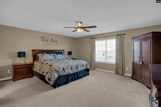 308 Turkey Beard Court, Chapin, SC 29036