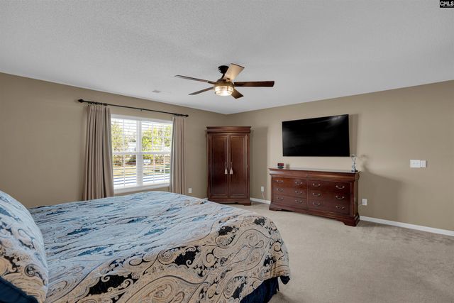 308 Turkey Beard Court, Chapin, SC 29036