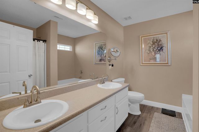 308 Turkey Beard Court, Chapin, SC 29036