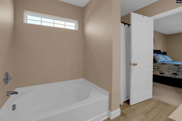 308 Turkey Beard Court, Chapin, SC 29036