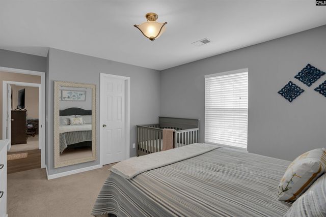 308 Turkey Beard Court, Chapin, SC 29036