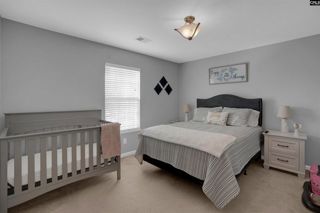 308 Turkey Beard Court, Chapin, SC 29036