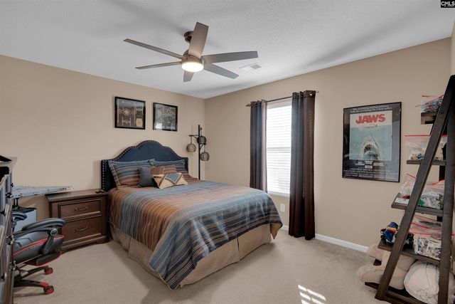 308 Turkey Beard Court, Chapin, SC 29036