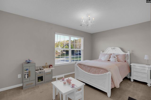 308 Turkey Beard Court, Chapin, SC 29036