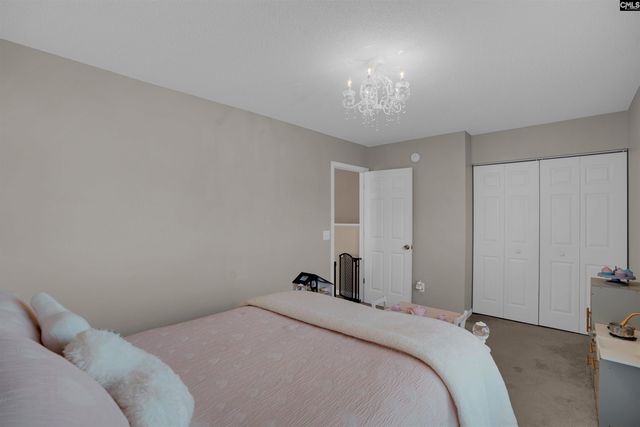 308 Turkey Beard Court, Chapin, SC 29036