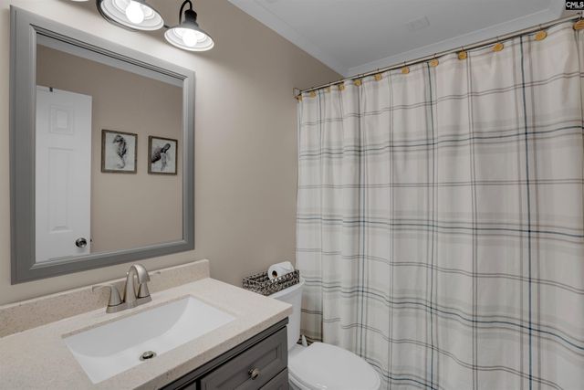 308 Turkey Beard Court, Chapin, SC 29036