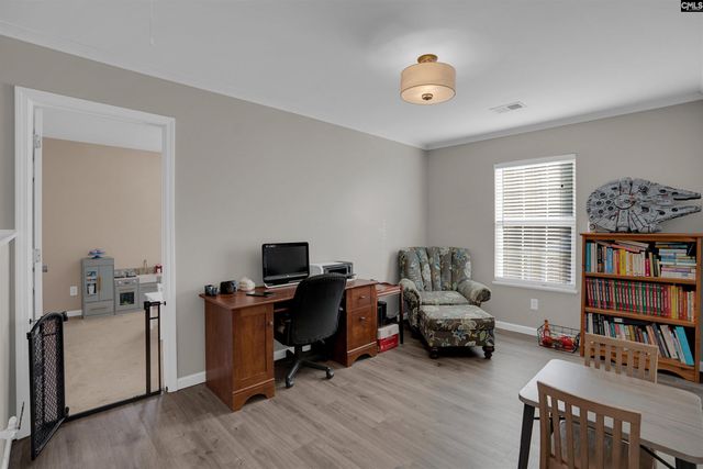 308 Turkey Beard Court, Chapin, SC 29036