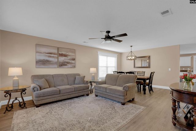 308 Turkey Beard Court, Chapin, SC 29036