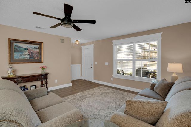 308 Turkey Beard Court, Chapin, SC 29036