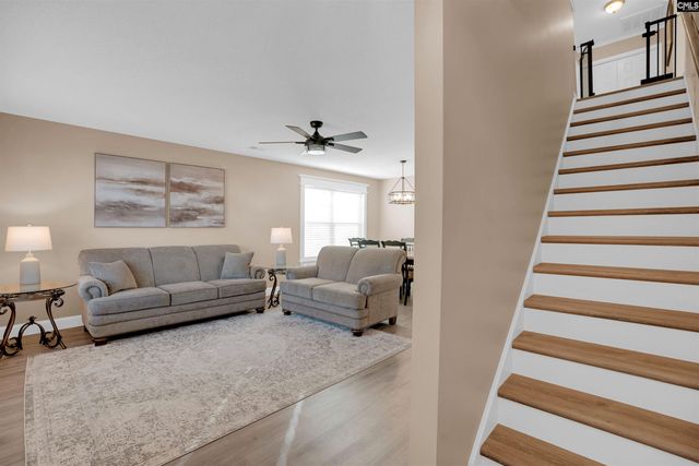 308 Turkey Beard Court, Chapin, SC 29036