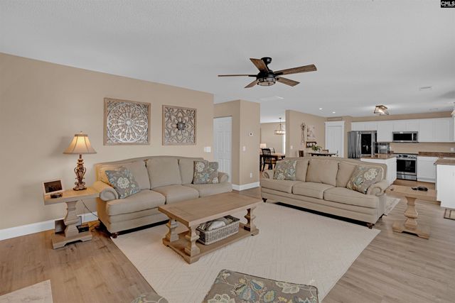 308 Turkey Beard Court, Chapin, SC 29036