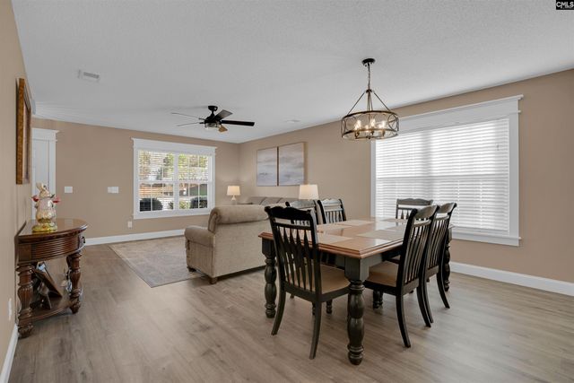 308 Turkey Beard Court, Chapin, SC 29036