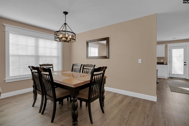 308 Turkey Beard Court, Chapin, SC 29036