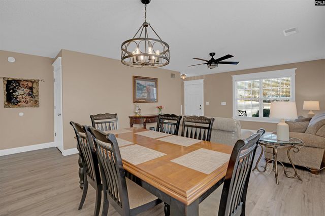 308 Turkey Beard Court, Chapin, SC 29036