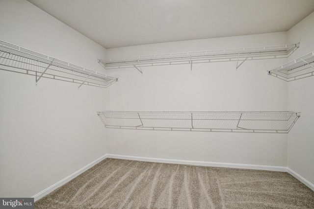 1605 SHADY TREE CT, Bel Air, MD 21015