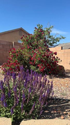 541 Soothing Meadows Drive NE, Rio Rancho, NM 87144