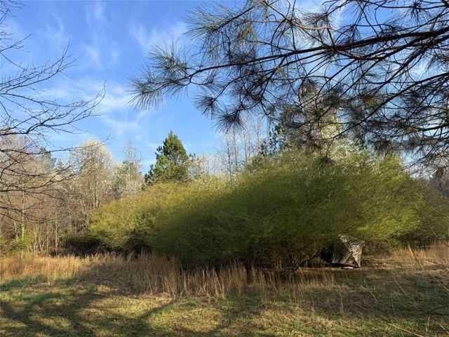 0 Skelton Road, Hoschton, GA 30548