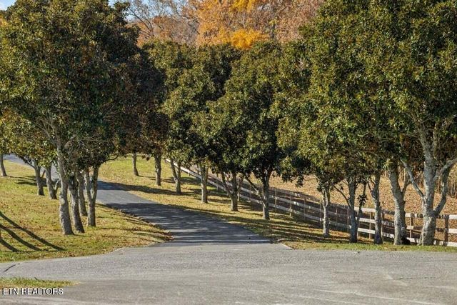 6130 James Cline Rd, Talbott, TN 37877