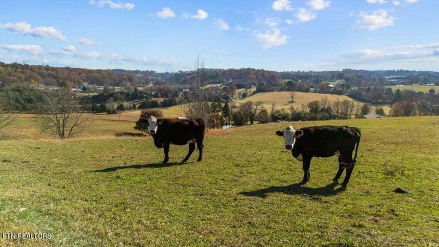 6130 James Cline Rd, Talbott, TN 37877