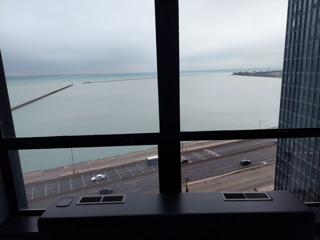 910 N lake shore Drive 1417, Chicago, IL 60611