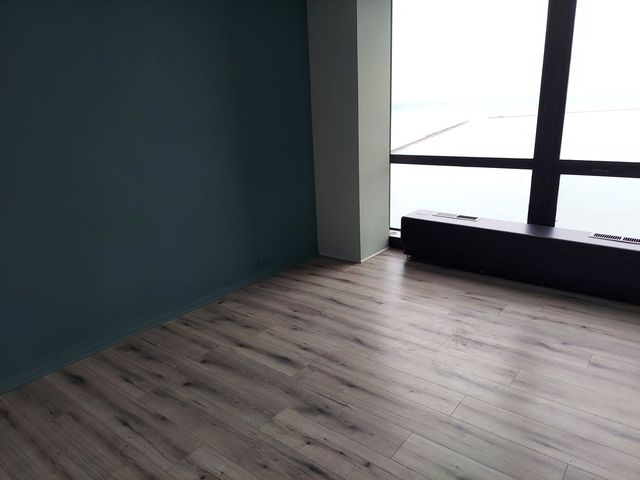 910 N lake shore Drive 1417, Chicago, IL 60611