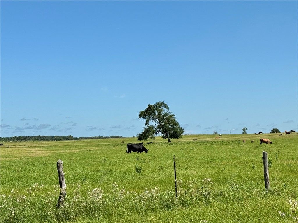 6467 Scenic View Trail, Bryan, TX 77808 — photo 3