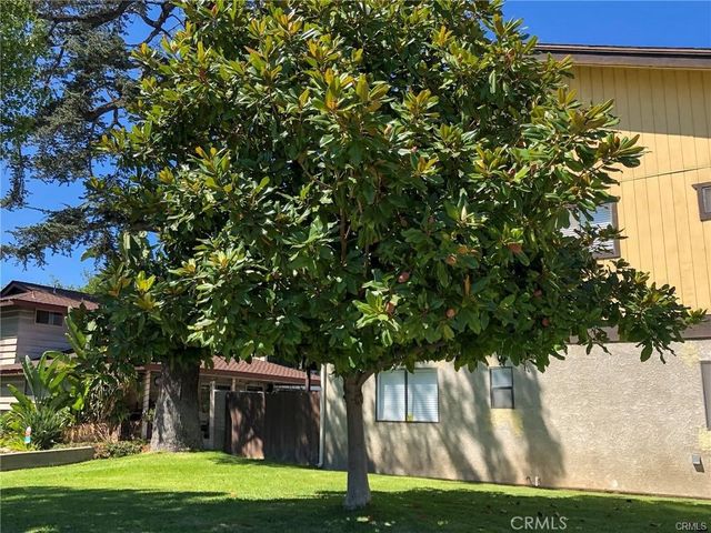 835 Arcadia 3, Arcadia, CA 91007