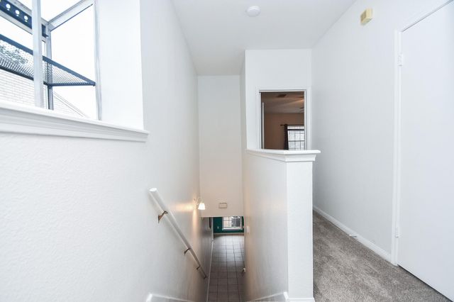 3800 Tanglewilde Street 109, Houston, TX 77063