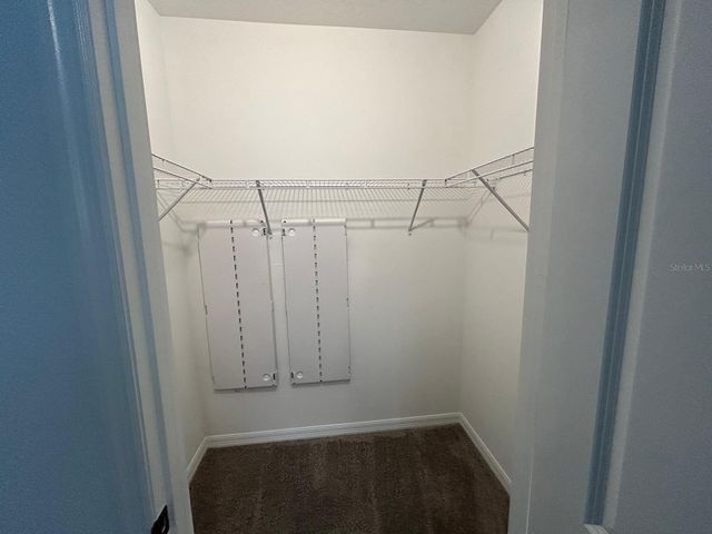 16620 GROTTO STEAM PLACE, Wimauma, FL 33598