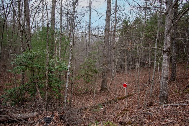Lot 38 Posey Place, Murphy, NC 28906
