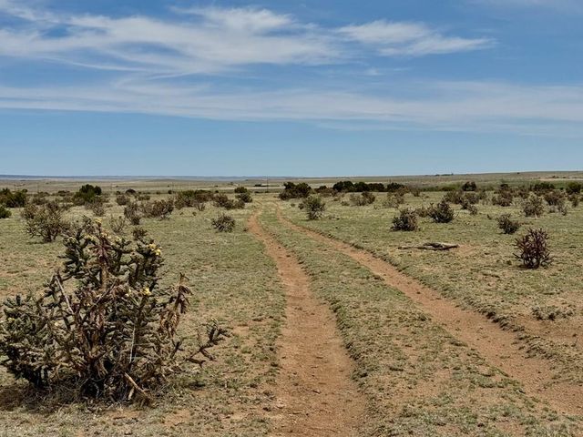 TBD 2 Ranch Rd, Florence, CO 81226