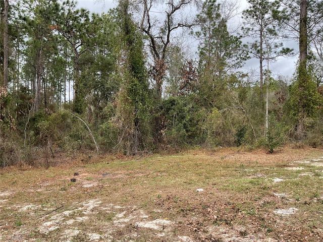 90 NE 132ND TERRACE, Williston, FL 32696