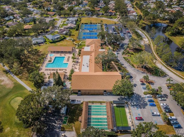 3097 MISSION GROVE DRIVE, Palm Harbor, FL 34684