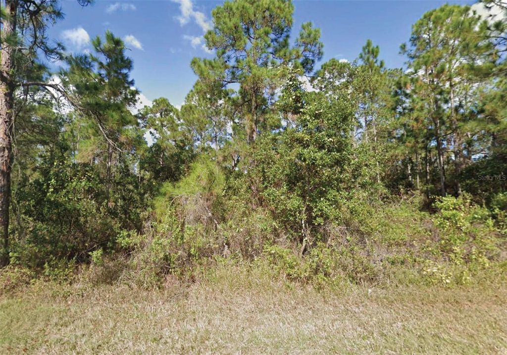 203 GARDENIA DRIVE, Indian Lake Estates, FL 33855