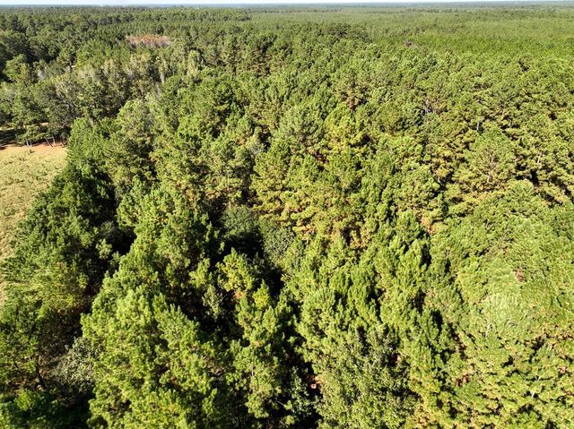 2357 County Road 4850, Warren, TX 77664