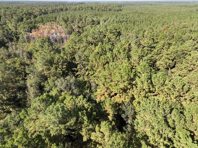 2357 County Road 4850, Warren, TX 77664