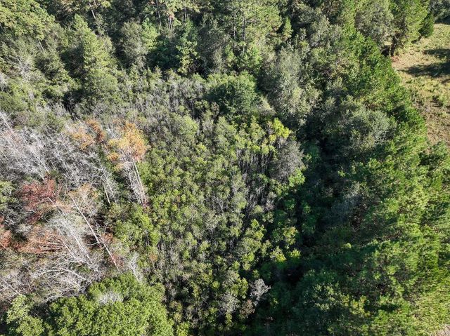 2357 County Road 4850, Warren, TX 77664