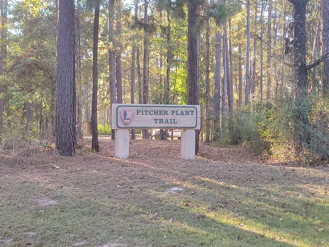 2357 County Road 4850, Warren, TX 77664