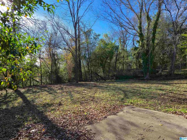 740 81ST PLACE S, Birmingham, AL 35206