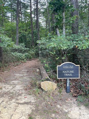 1651 Lake Louisa Loop, Monteagle, TN 37356