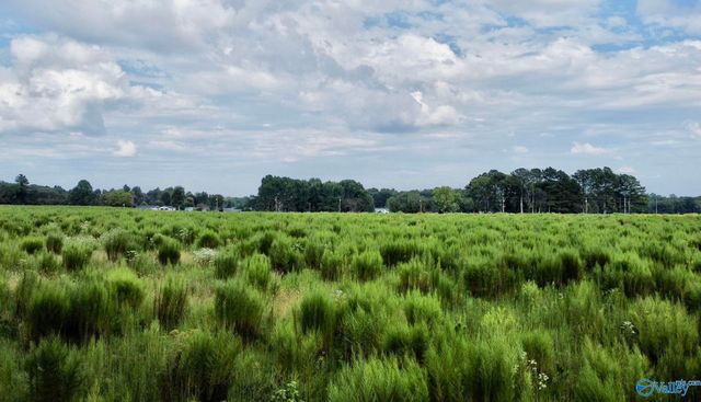 26 Acres Piney Chapel Road, Elkmont, AL 35614