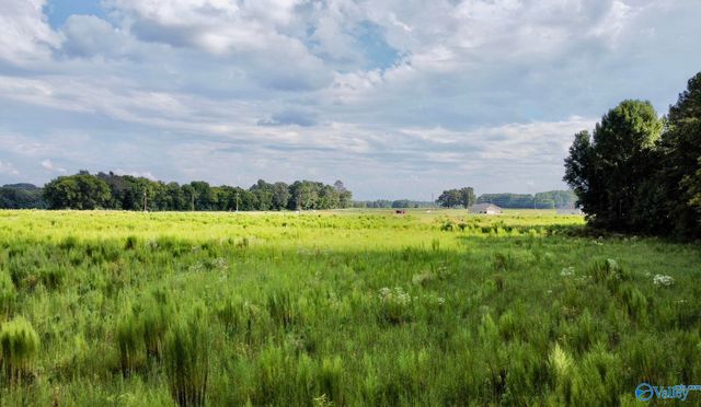 26 Acres Piney Chapel Road, Elkmont, AL 35614