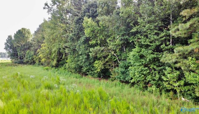26 Acres Piney Chapel Road, Elkmont, AL 35614