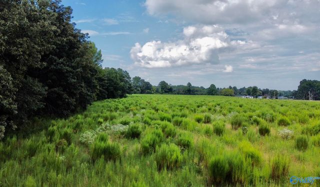 26 Acres Piney Chapel Road, Elkmont, AL 35614